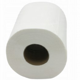 Reinigung Papierrolle