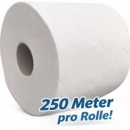 Werkstatt Papierrolle Papier Putzpapier 2-lagig