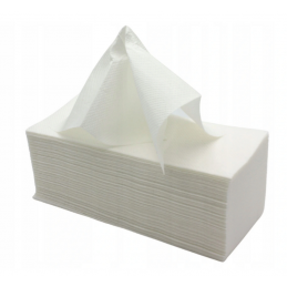 Papierhandtücher Zellstoff 2-lagig Handtuchpapier Falthandtüche Einmalhandtüche